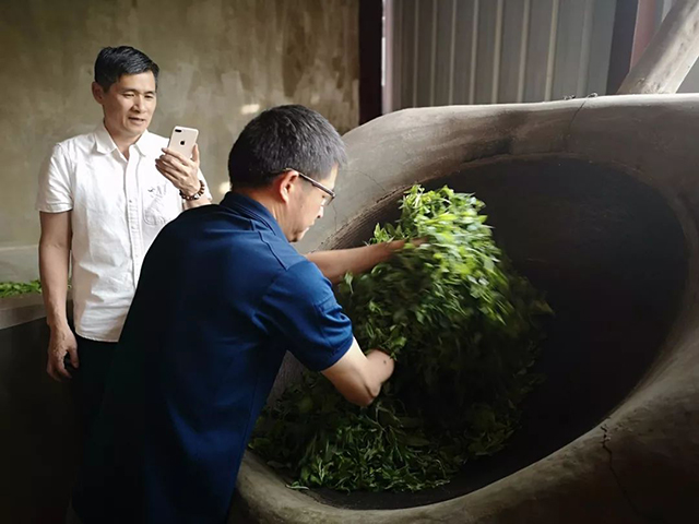 石昆牧天威德成云集生态茶普洱茶