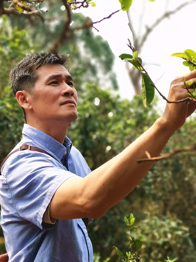 石昆牧天威德成云集生态茶普洱茶