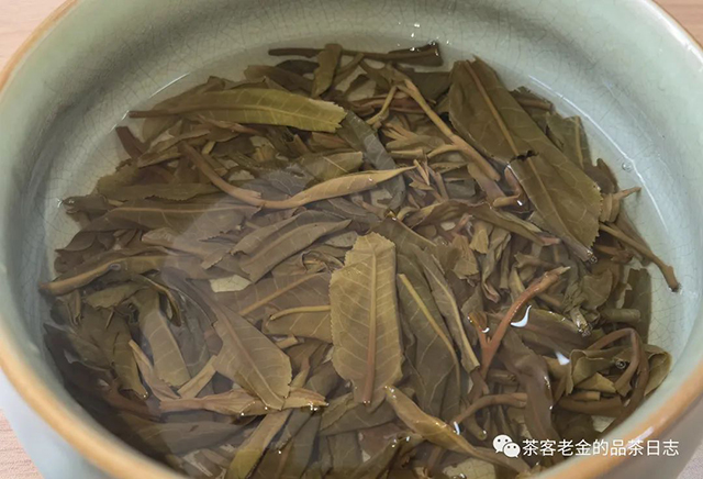 彤掌柜2021年凤庆单株普洱茶