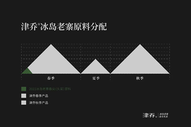 津乔2022冰岛首作冰岛老寨春尖头采普洱茶