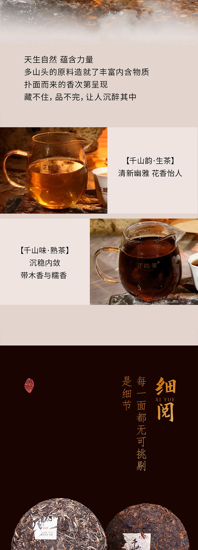 正皓茶千山韵千山味普洱茶