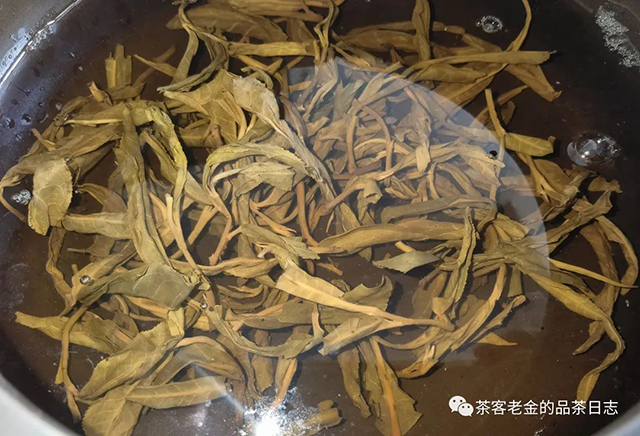 恩美茶业2020年白茶园高杆普洱茶