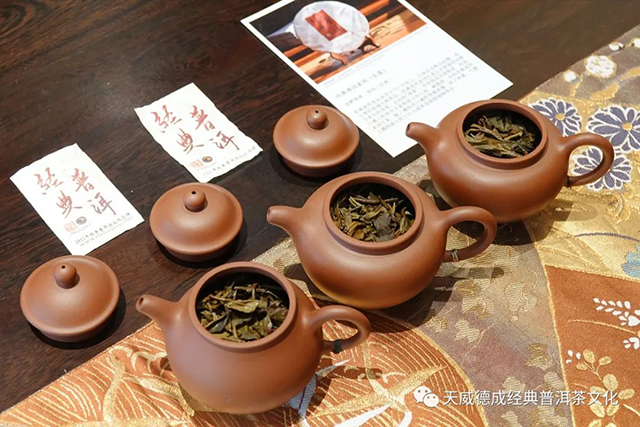 天威德成2022年经典普洱生茶新品品鉴茶会