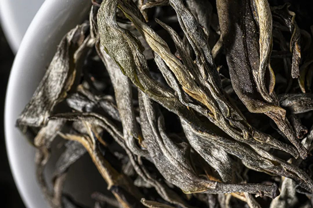 津乔普洱茶