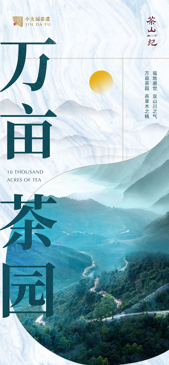 2022年今大福茶山纪第三期万亩茶园