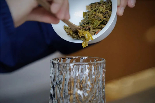 津乔普洱