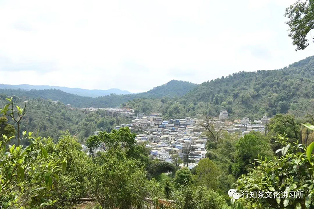 老曼峨茶山行记