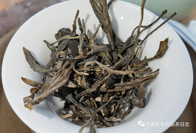 绿水塘头春古树普洱茶