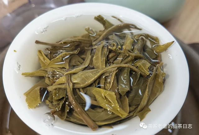 绿水塘头春古树普洱茶