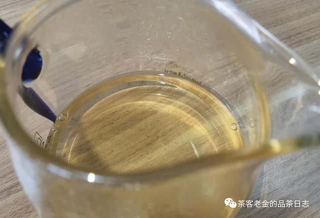 绿水塘头春古树普洱茶