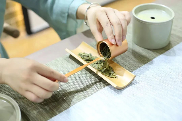 绿茶冲泡方法教程