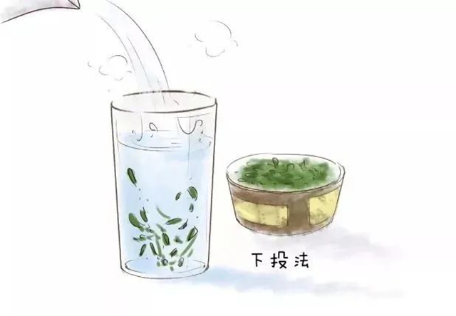 绿茶冲泡方法教程
