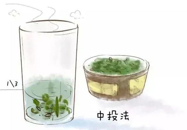 绿茶冲泡方法教程