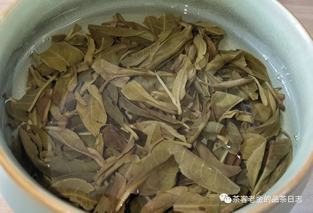 困鹿山制茶人2021年举鼎老班章普洱茶