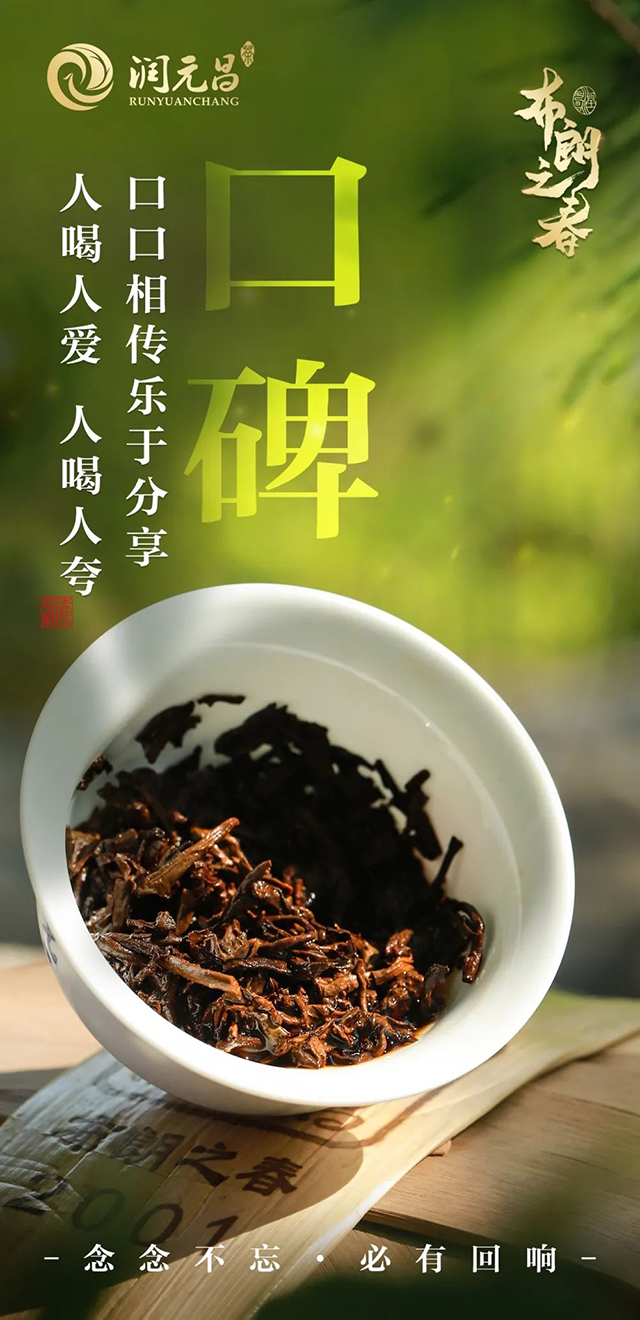 润元昌布朗之春熟茶