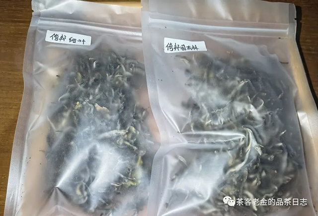 茶者无喧倚邦普洱茶