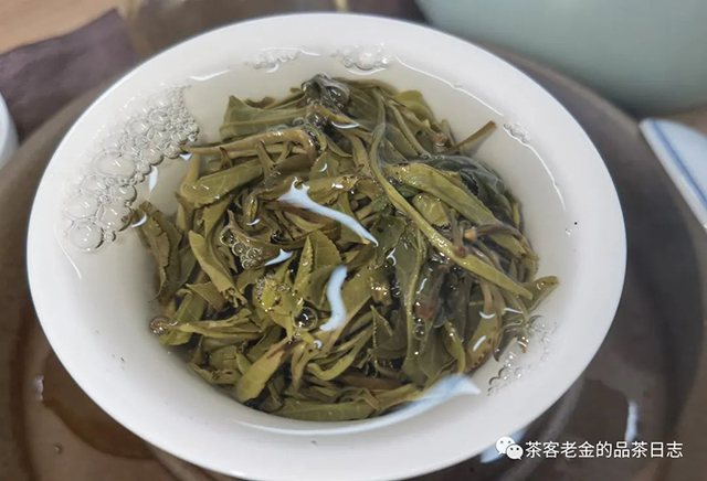 茶者无喧2022年倚邦细叶普洱茶