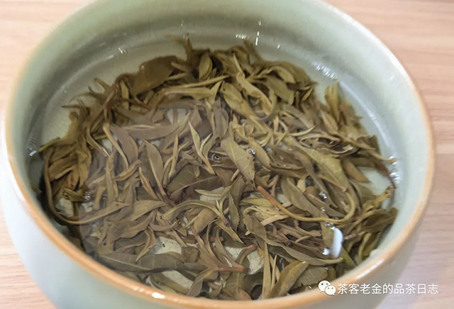 茶者无喧2022年倚邦细叶普洱茶