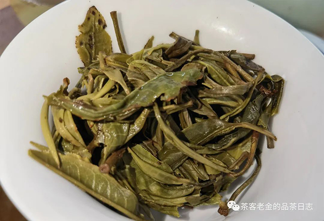 茶者无喧2022年倚邦国有林普洱茶