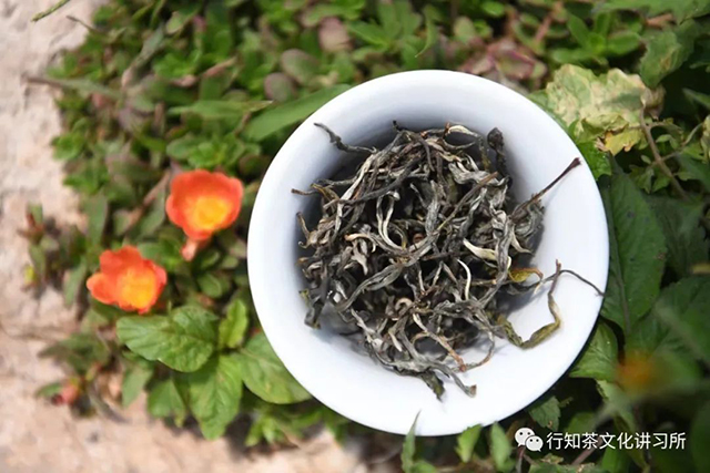 革登茶