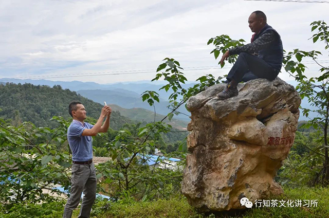 革登山茶农唐旺春