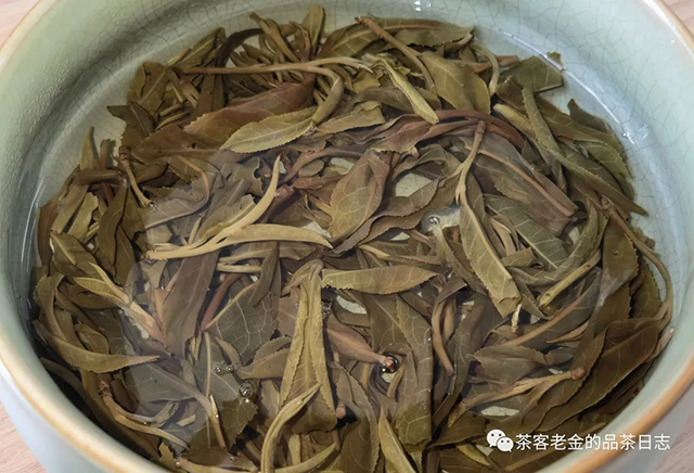 孙德忠曼松普洱茶