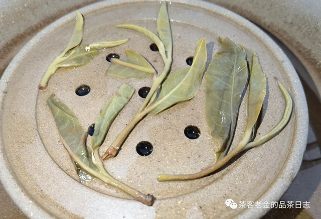 孙德忠曼松普洱茶