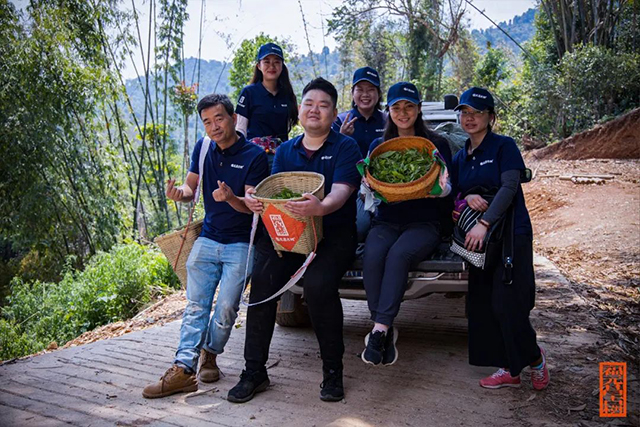 福元昌古树普洱茶