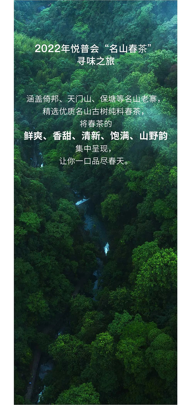 双陈高端名山春茶品茗会