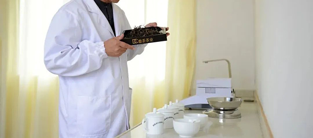 巅茶普洱茶