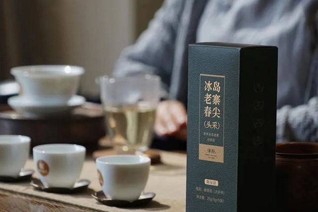 津乔普洱冰岛老寨春尖