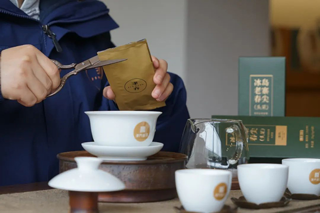 津乔普洱冰岛老寨春尖