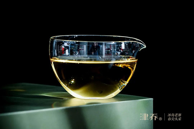 津乔普洱冰岛老寨春尖