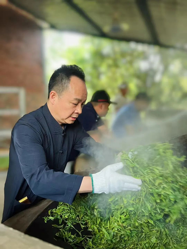 制茶高级工程师张明春