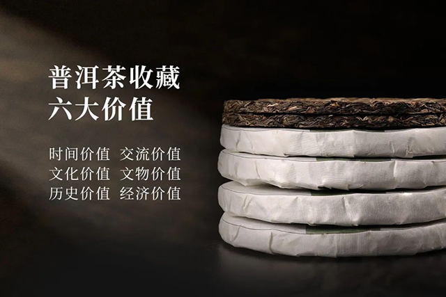 津乔普洱茶