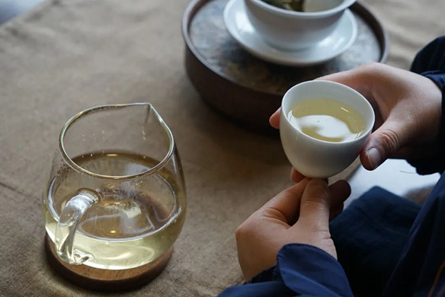 津乔普洱茶