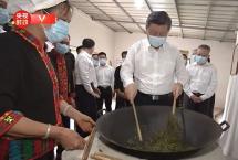 【独家】总书记在海南体验炒制的是什么茶？