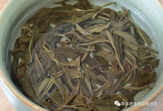 无事茶堂2022年革登直蚌普洱茶