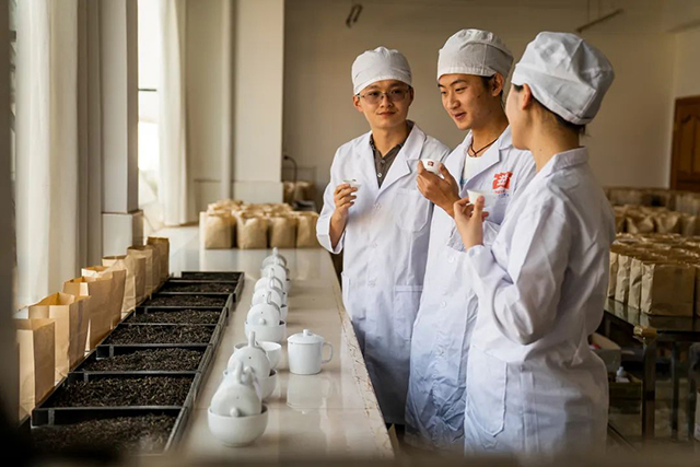 勐海茶厂产品研配团队