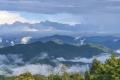 宝和祥高山行止青饼：一山一韵，普洱茶的山韵