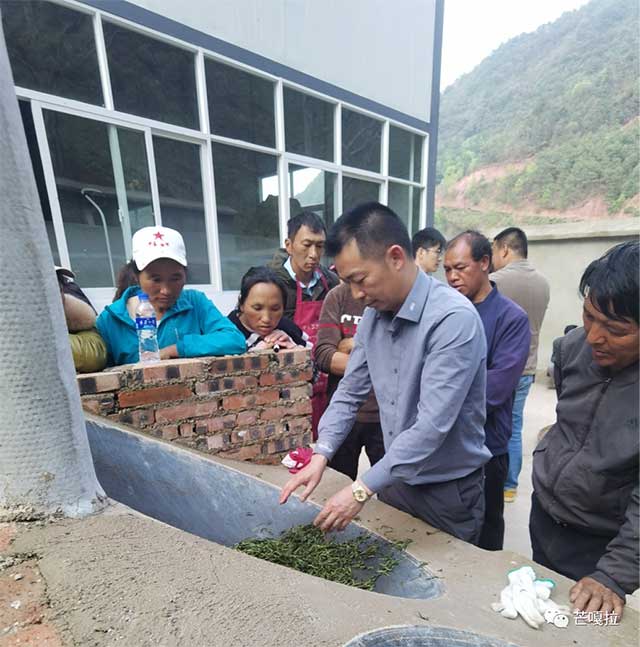 云南芒嘎拉茶业集团