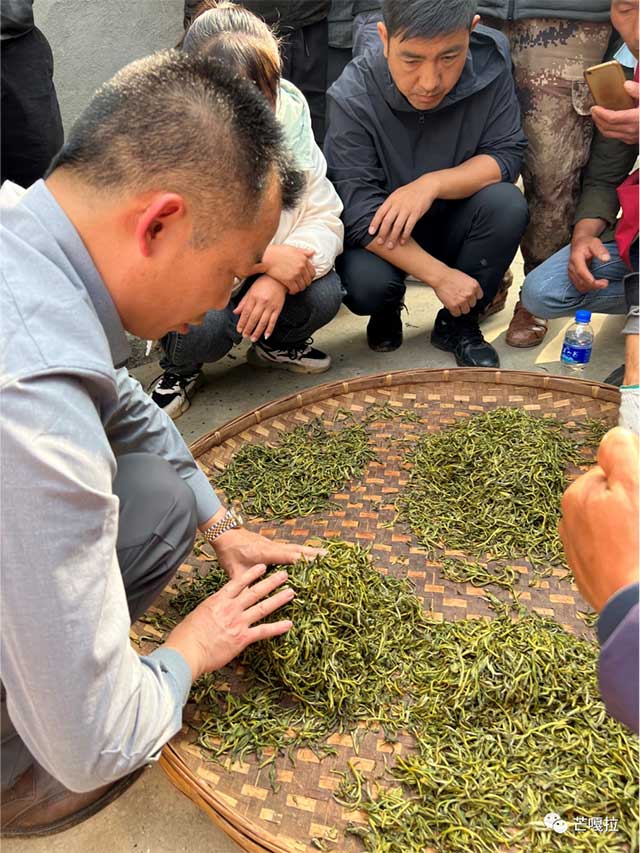 云南芒嘎拉茶业集团