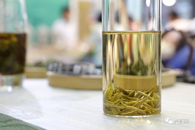 2022春季饮茶消费趋势报告