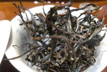 芭依箐：一泡难求的“小薄荷塘茶”，古茶树不足百棵（众筹20公斤）