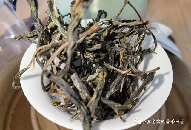 茶厨2022年大单株普洱茶