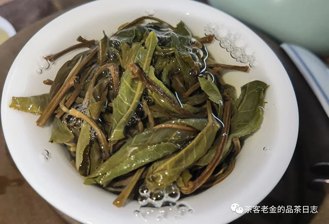 茶厨2022年大单株普洱茶