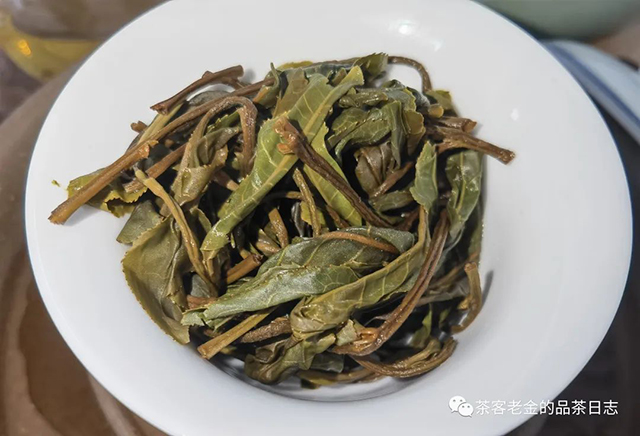 茶厨2022年大单株普洱茶