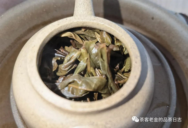 茶厨2022年大单株普洱茶