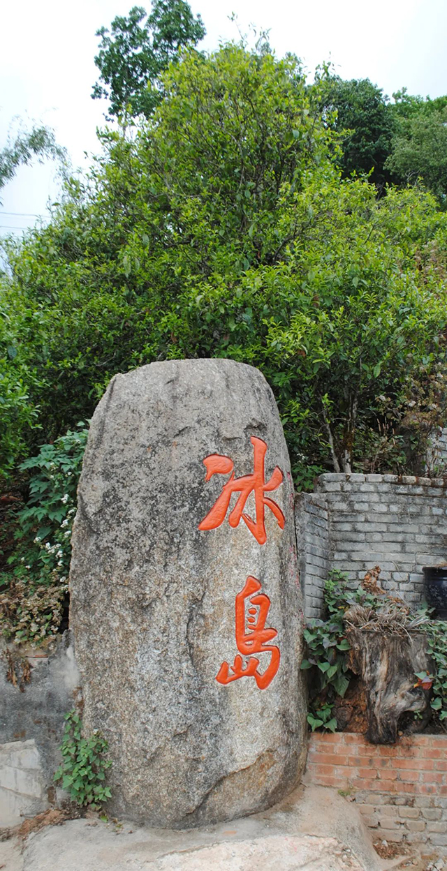 晓德书号临沧茶山纪行冰岛