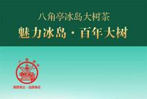 八角亭冰岛大树茶：魅力冰岛、百年大树